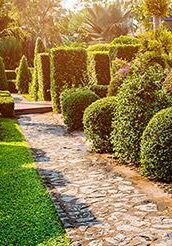 jardinage